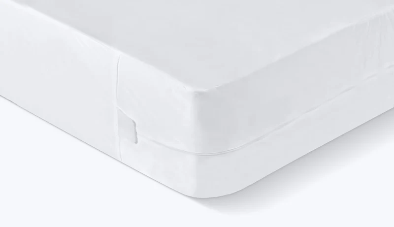 Ensemble Original Protection
