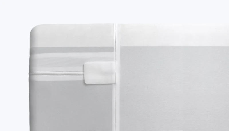 Ensemble Original Protection