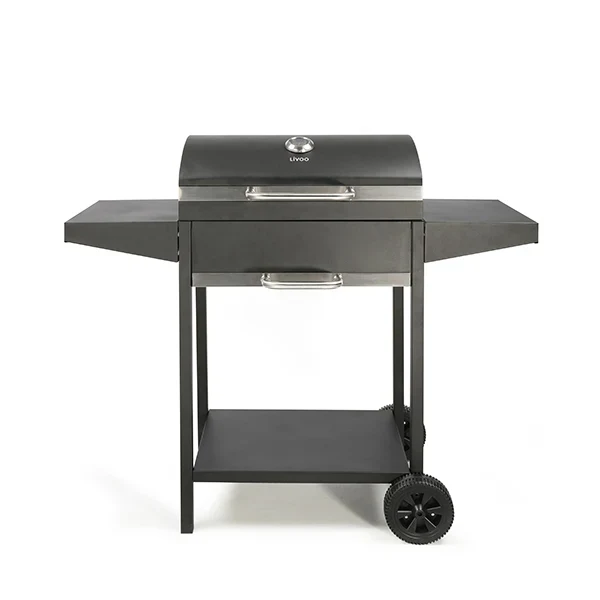 Barbecue à charbon rectangle DOC250 Livoo