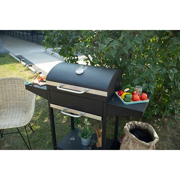 Barbecue à charbon rectangle DOC250 Livoo