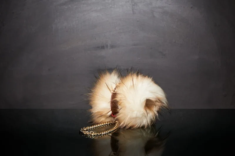 Couverture pour chat « Metis » Art - Tissu Jean-Paul Gaultier