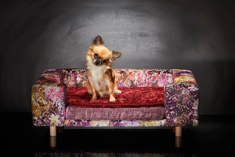 Canapé pour chien « Le Couture » Palace (Bleu ou Rose)
