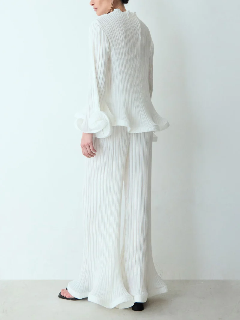 Elegant Ruffled Pleated Top And Pants Two-Piece Set