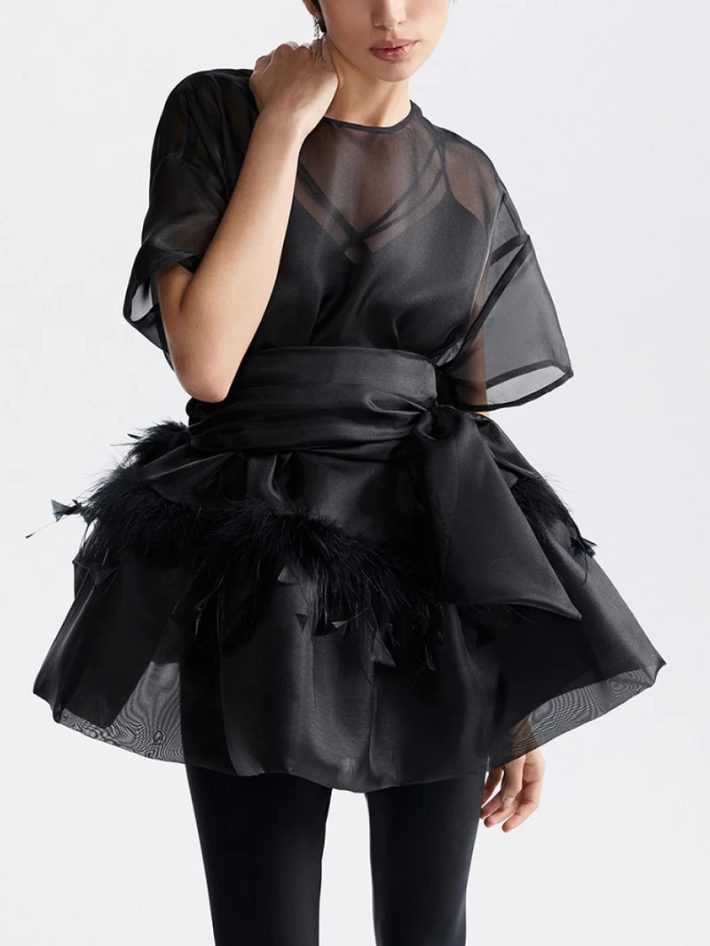Elegant Feather Organza Top Two-Piece Set