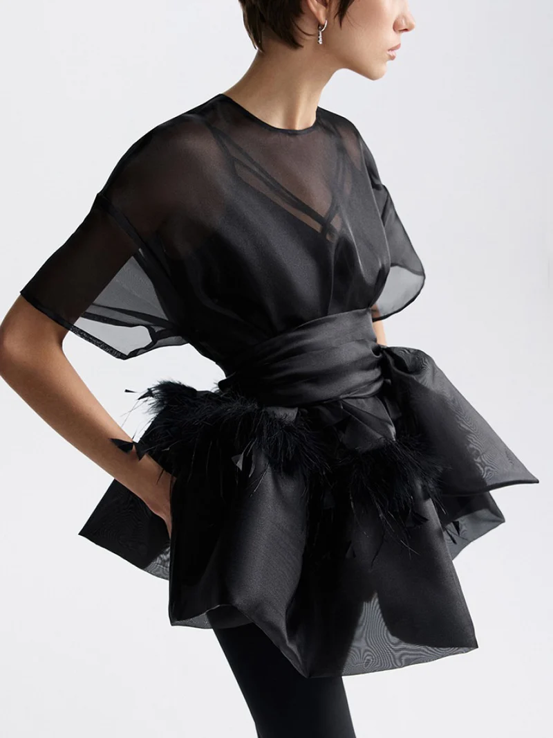 Elegant Feather Organza Top Two-Piece Set