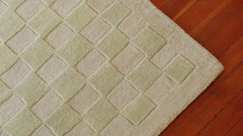 Checkers Rug x Scott Sueme, 8x10, Aloe