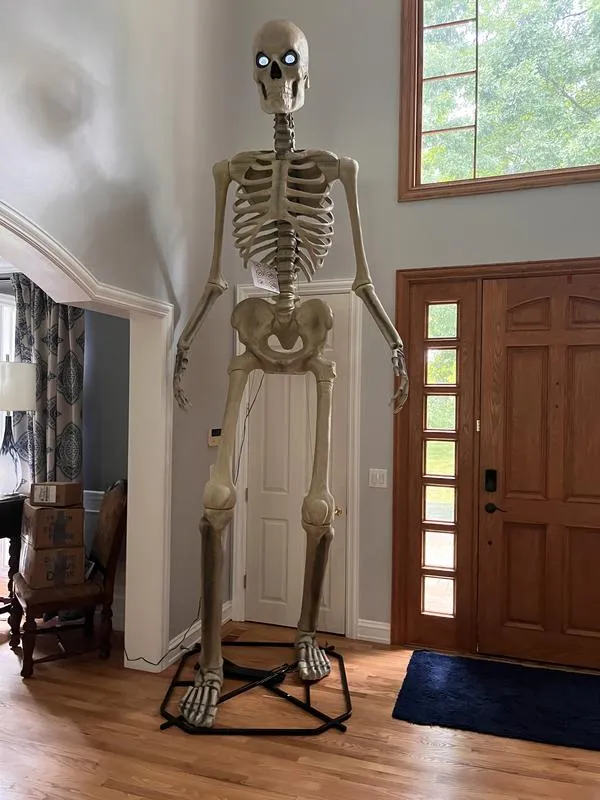 Giant-Sized Skeleton with LifeEyes LCD Eyes