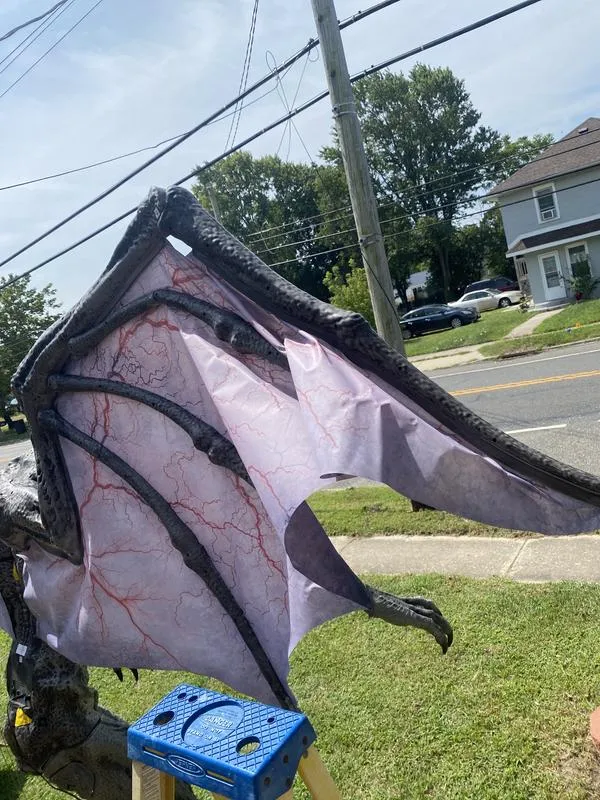 Wide Animated Bat Man
