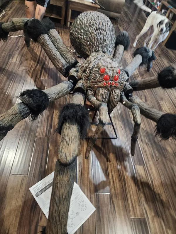 Giant-Sized Spider